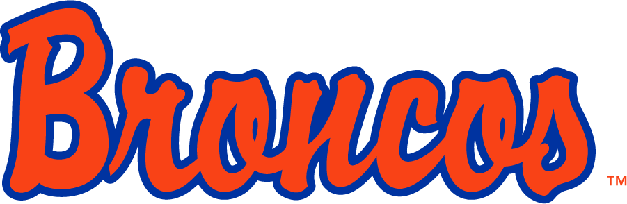 Boise State Broncos 1997-2001 Wordmark Logo diy iron on heat transfer